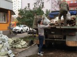 Вывоз строительного мусора / Смоленск
